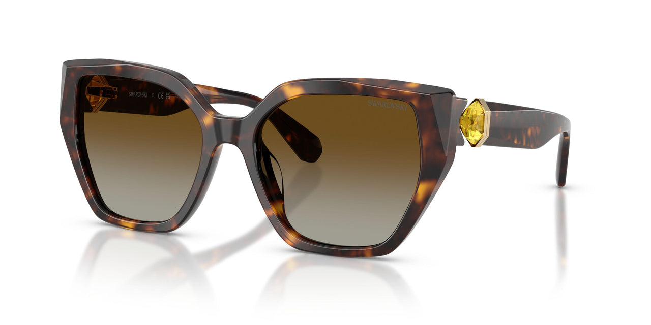 1002T5 - Tortoise - Brown Gradient Polar