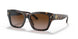 172813 - Havana - Brown Gradient