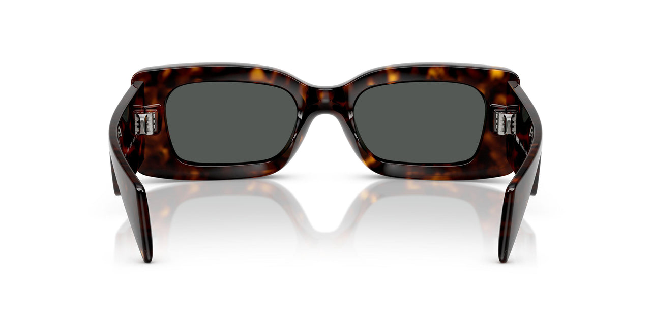 108/87 - Tortoise - Dark Grey