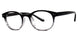 PLASTICS I THEORY Eyeglasses