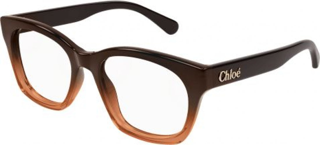 004 - Brown - Transparent