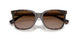 629413 - Brown - Gradient Brown