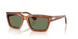 96/GJ - Brown - Transitions 8 Green