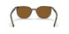 135757 - Havana - Brown Polar