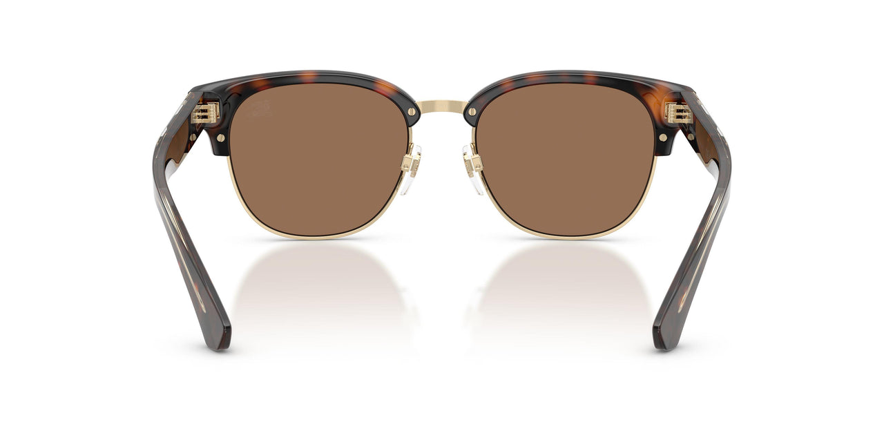 420573 - Brown - Dark Brown