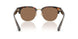 420573 - Brown - Dark Brown