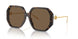 196473 - Tortoise - Dark Brown
