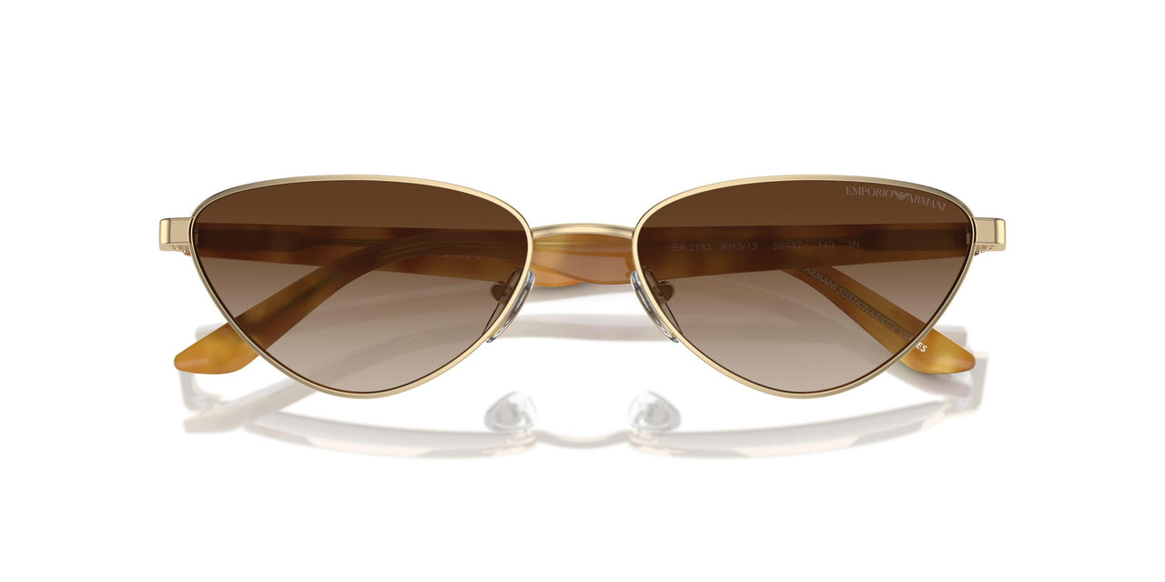 301313 - Gold - Gradient Brown