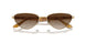 301313 - Gold - Gradient Brown