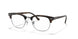 2012 - Brown - Clear