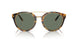51345U - Tortoise - Green