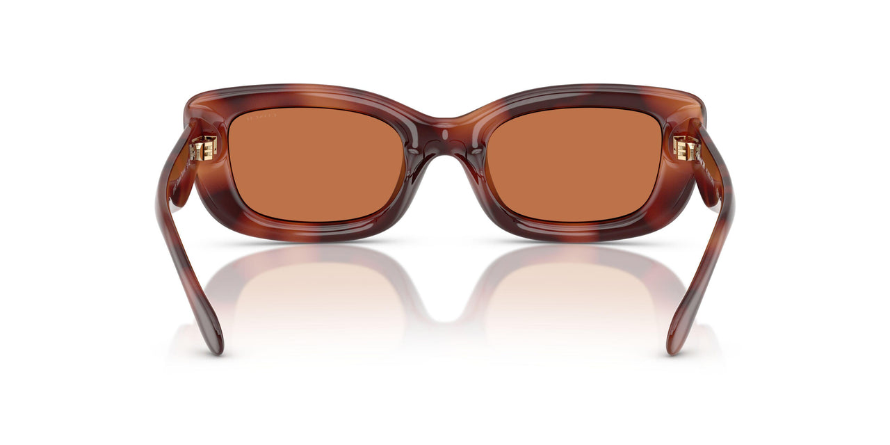 577473 - Tortoise - Brown Solid