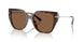 30063G - Tortoise - Dark Brown Solid