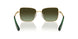 4004E8 - Gold - Green Gradient Brown