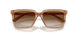 507613 - Brown - Gradient Brown