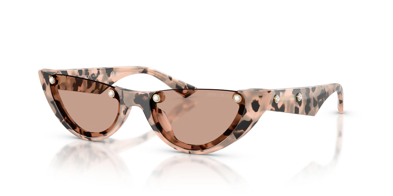 508073 - Tortoise - Brown