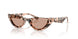 508073 - Tortoise - Brown