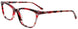 030 - Transparent Red Tortoise