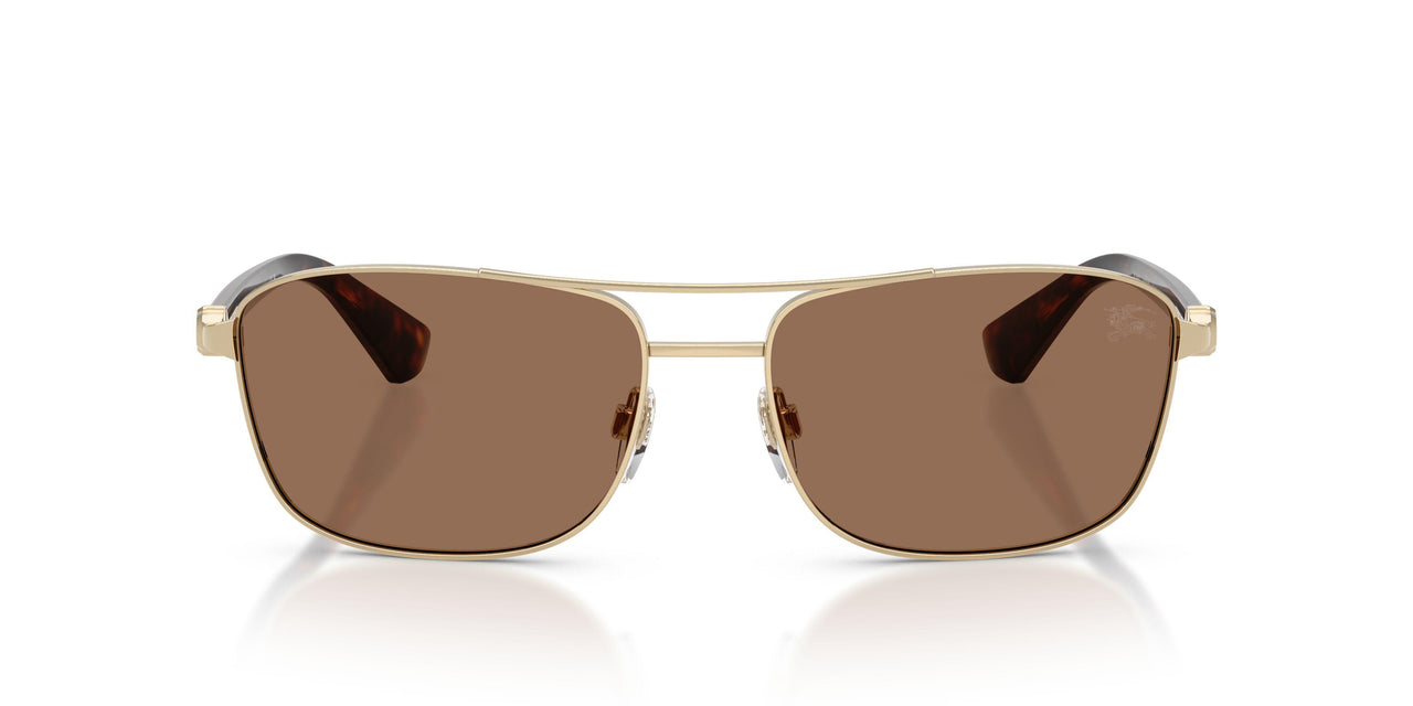 110973 - Gold - Dark Brown