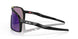 946206 - Black - Prizm Jade