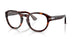 24/GG - Havana - Transitions 8 Sapphire
