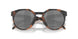 924218 - Tortoise - Prizm Black