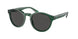 Polo 4192 Sunglasses