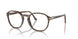 1208 - Tortoise - Clear