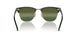 1368G4 - Green - Silver/green