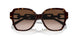 502613 - Tortoise - Gradient Brown