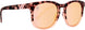 206020 H Series Sunglasses