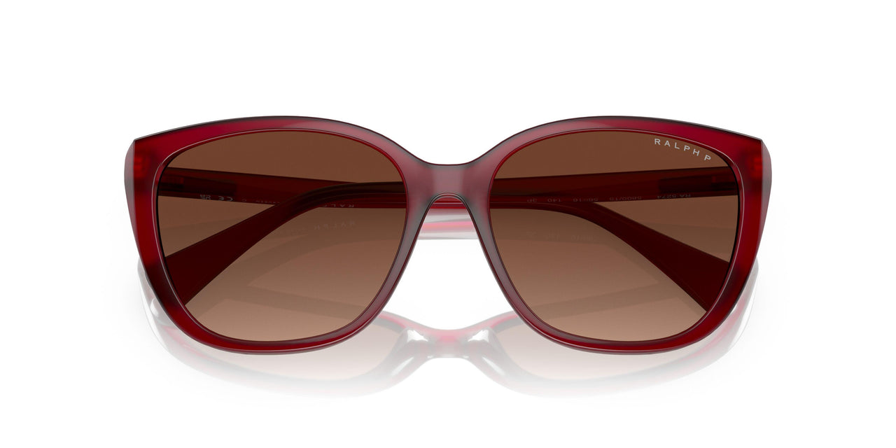 5800T5 - Bordeaux - Polar Light Brown Gradient