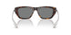 200387 - Tortoise - Dark Grey