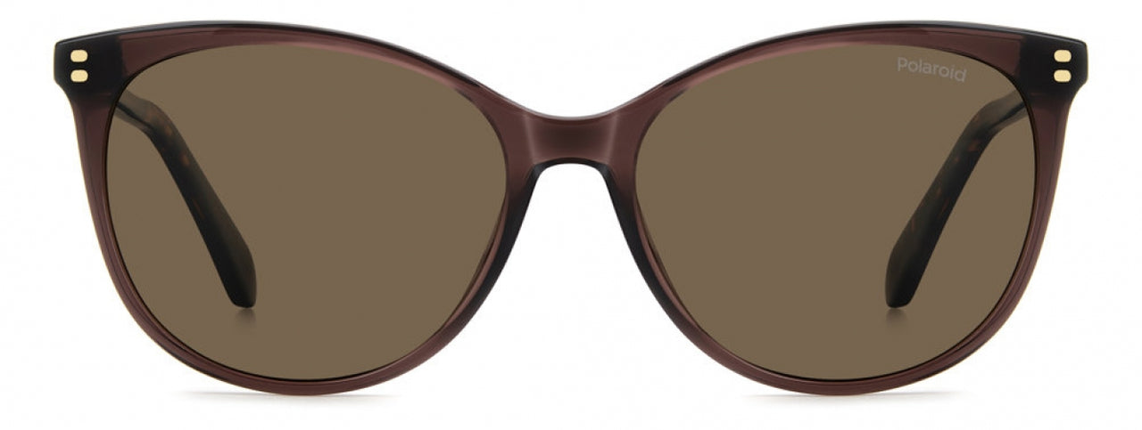 09QSP-SP - BROWN