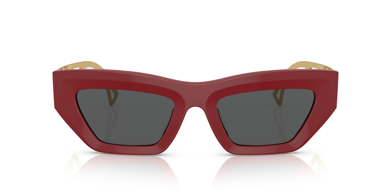 538887 - Red - Dark Grey