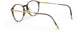 6032 - Havanna Walnut - ext. nosebridge + temple length
