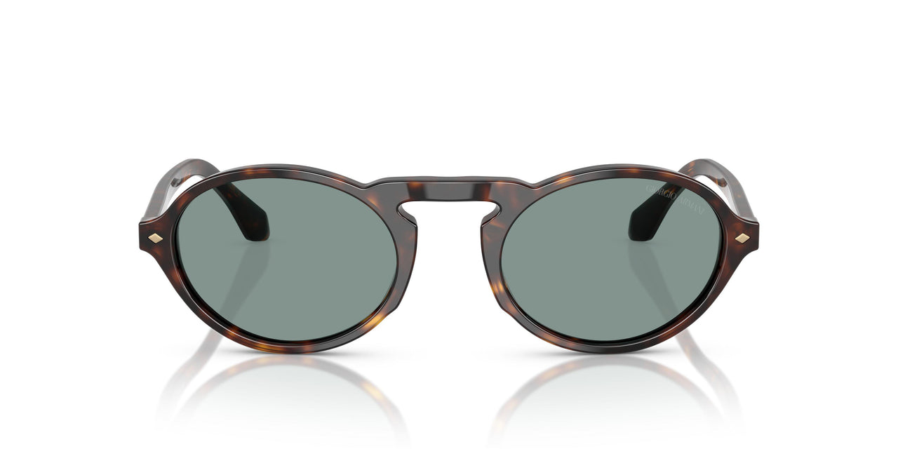 587956 - Tortoise - Grey