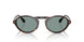 587956 - Tortoise - Grey