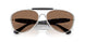 100573 - Silver - Dark Brown