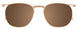 10 - Brushed Gold & Tortoise