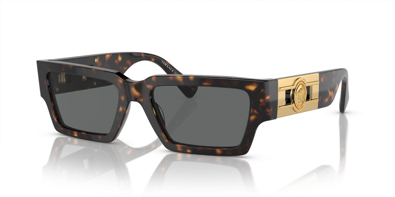 108/87 - Tortoise - Dark Grey
