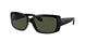 Ray-Ban 4389 Sunglasses