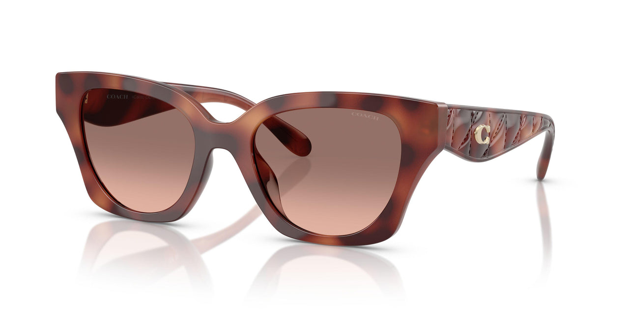 577413 - Tortoise - Brown Pink Gradient