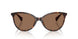 500373 - Brown - Brown