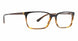 BLTR - Black/Tortoise