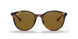 710/83 - Tortoise - Brown