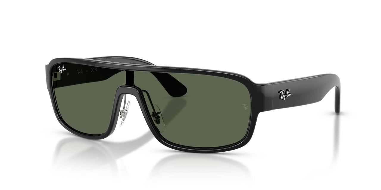 Ray-Ban 2233 Sunglasses