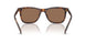 613773 - Tortoise - Dark Brown