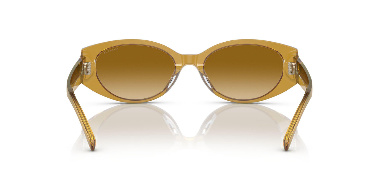57152L - Honey - Yellow Gradient