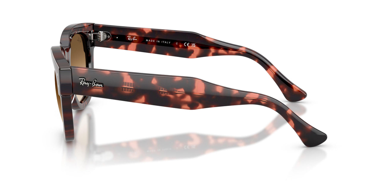 133451 - Tortoise - Clear Gradient Brown